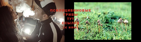 амф Заводоуковск