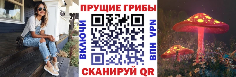 Купить где  Заринск  Галлюциногенные грибы Magic Shrooms 